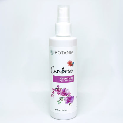 Colonia o Body spray 120 ml. - Cambria