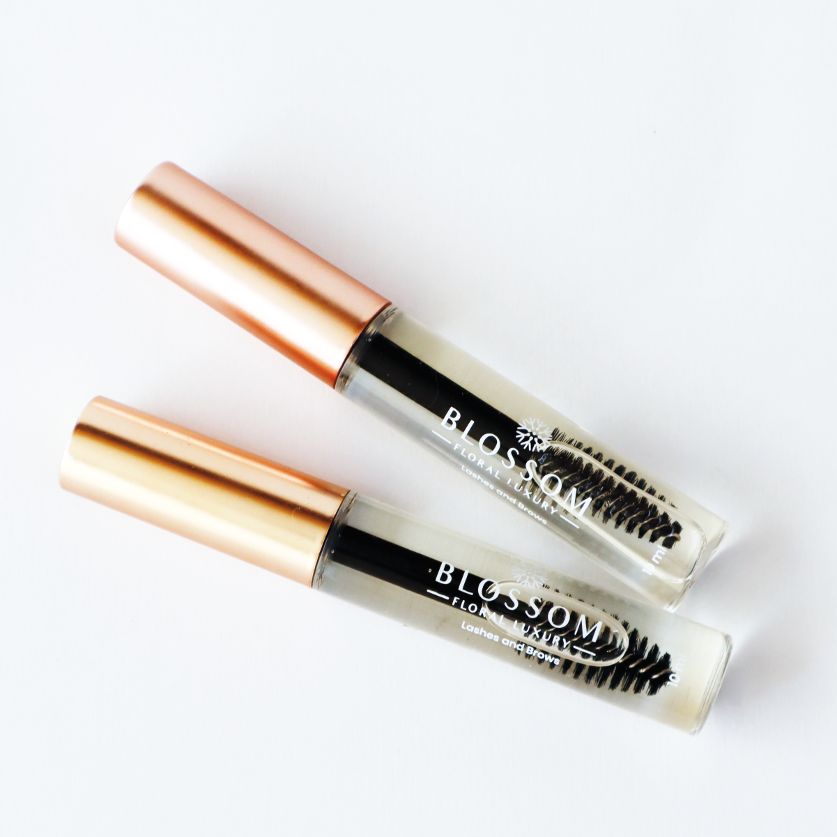Lashes & Brows